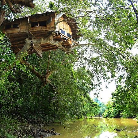 Kumbuk Tree House Villa Tissamaharama Exteriör bild