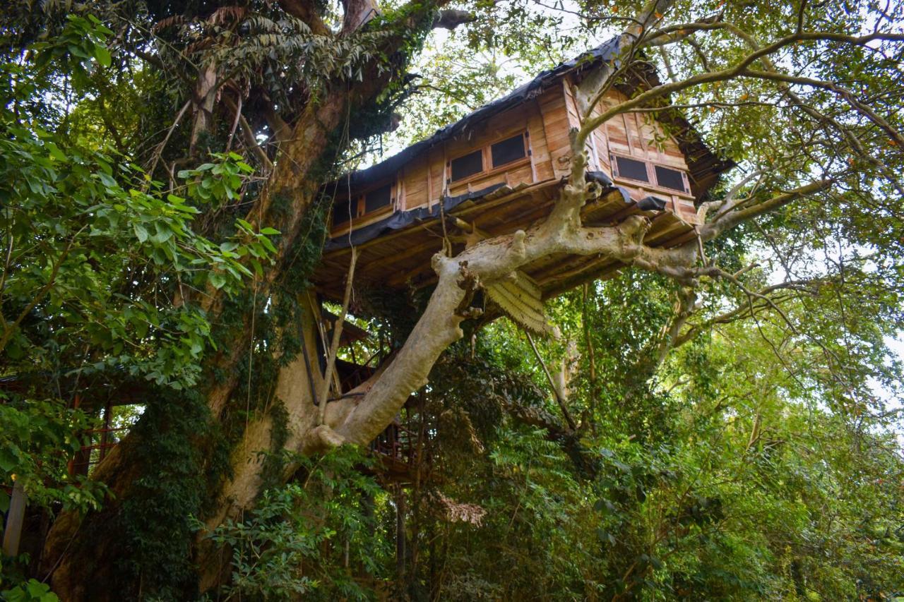 Kumbuk Tree House Villa Tissamaharama Exteriör bild