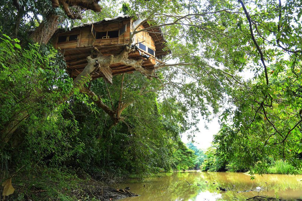 Kumbuk Tree House Villa Tissamaharama Exteriör bild