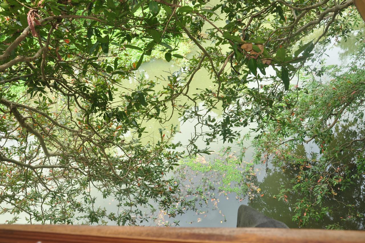 Kumbuk Tree House Villa Tissamaharama Exteriör bild