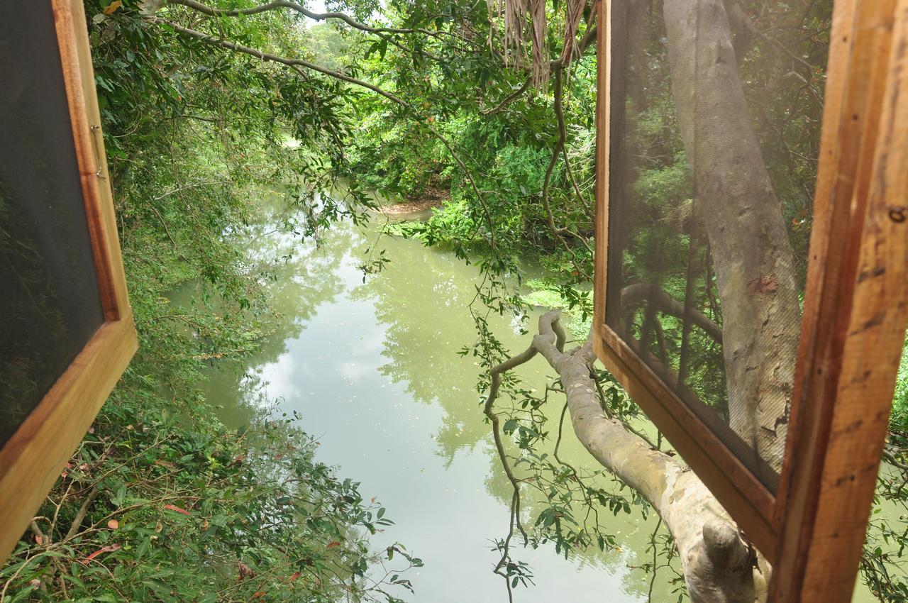 Kumbuk Tree House Villa Tissamaharama Exteriör bild