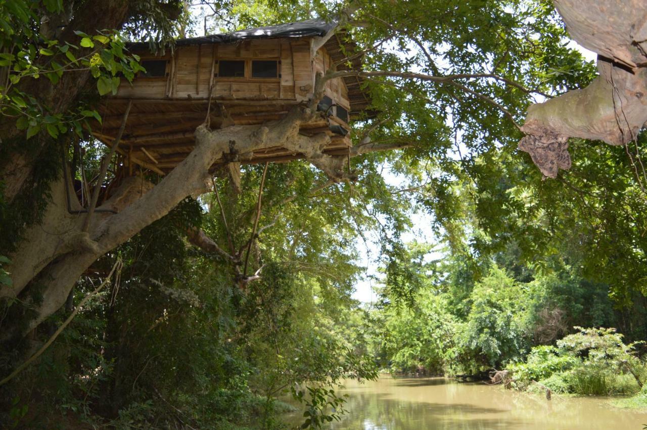 Kumbuk Tree House Villa Tissamaharama Exteriör bild